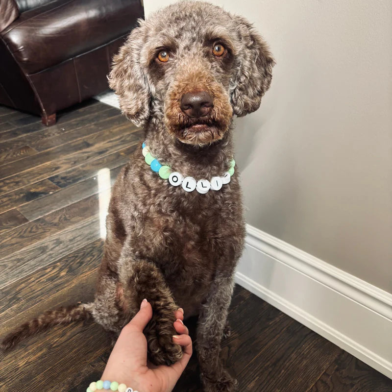 Friendship Collar and Bracelet Set