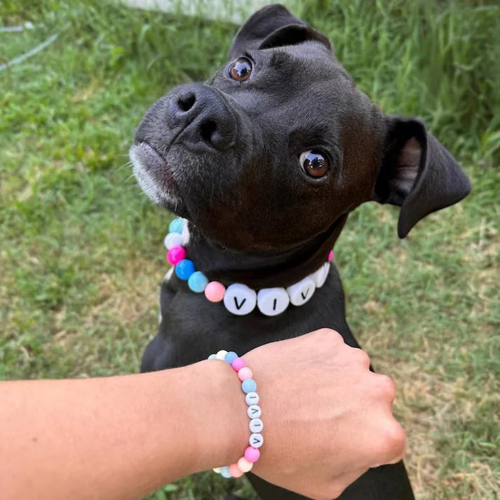 Friendship Collar and Bracelet Set