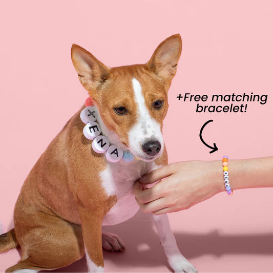 Friendship Collar and Bracelet Set
